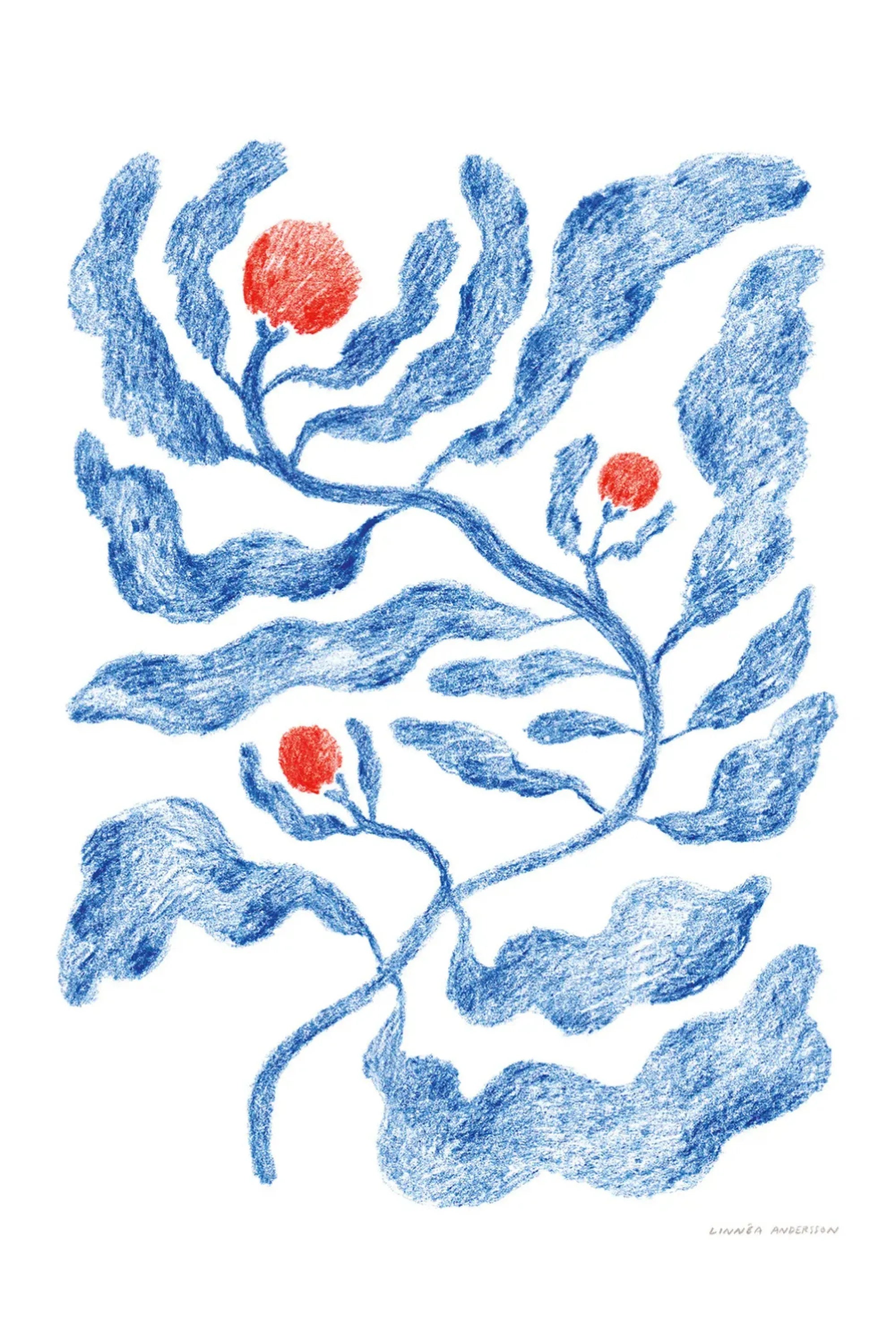 Fruits