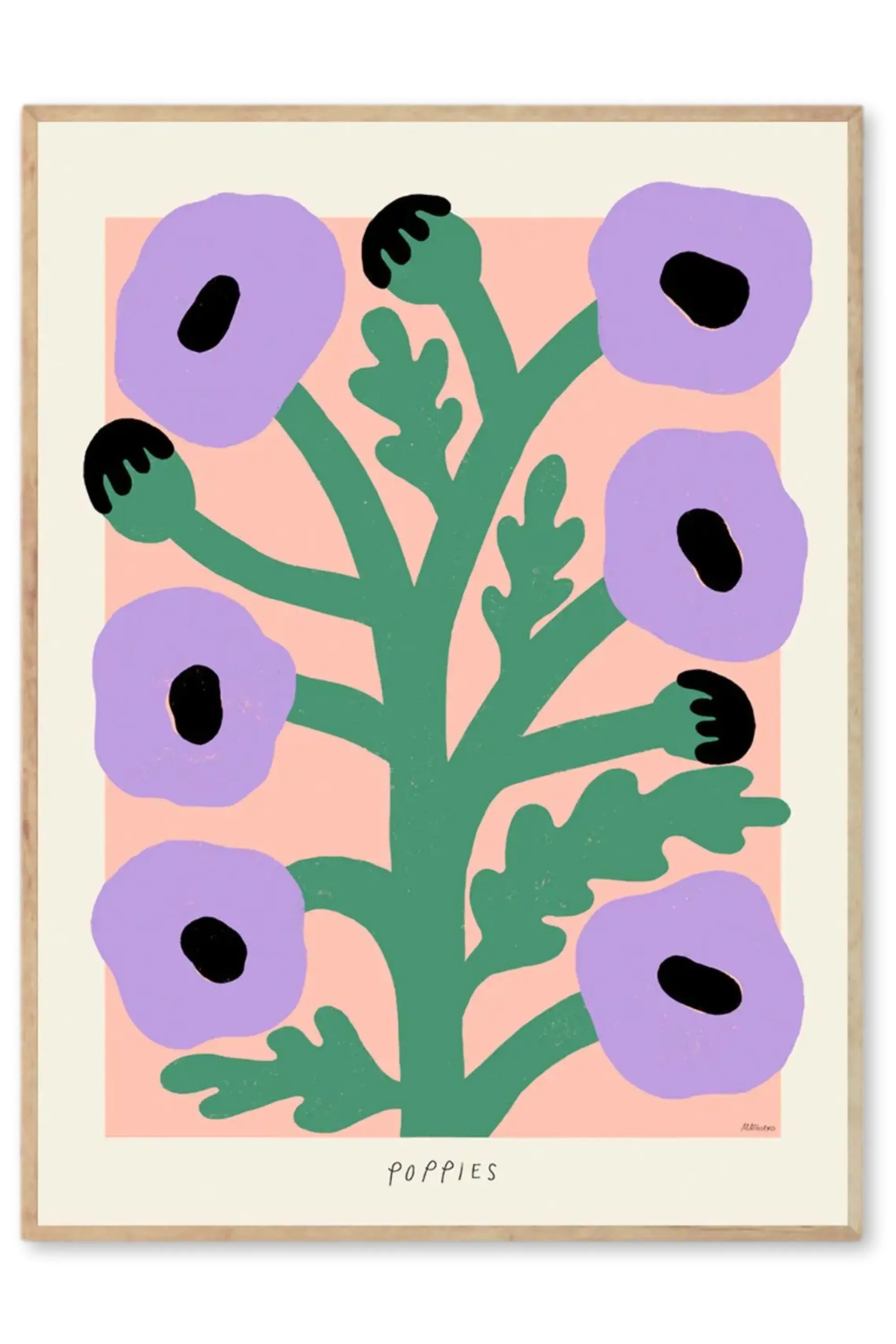 Purple Poppies - THAT COOL LIVING