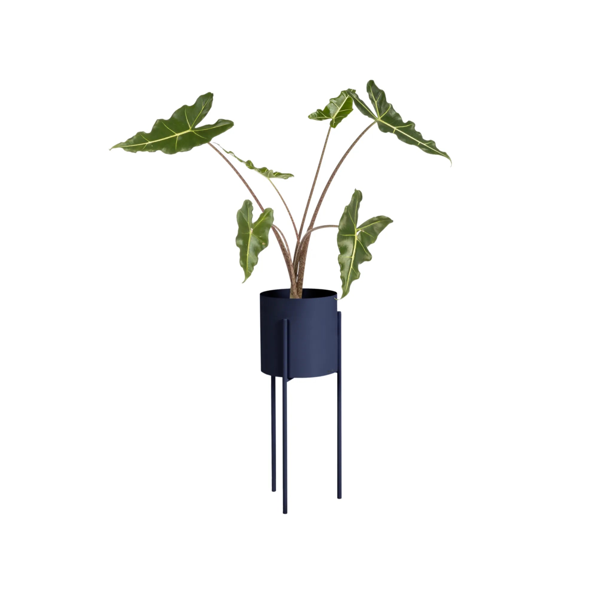 Maki Plant Pot - Tall