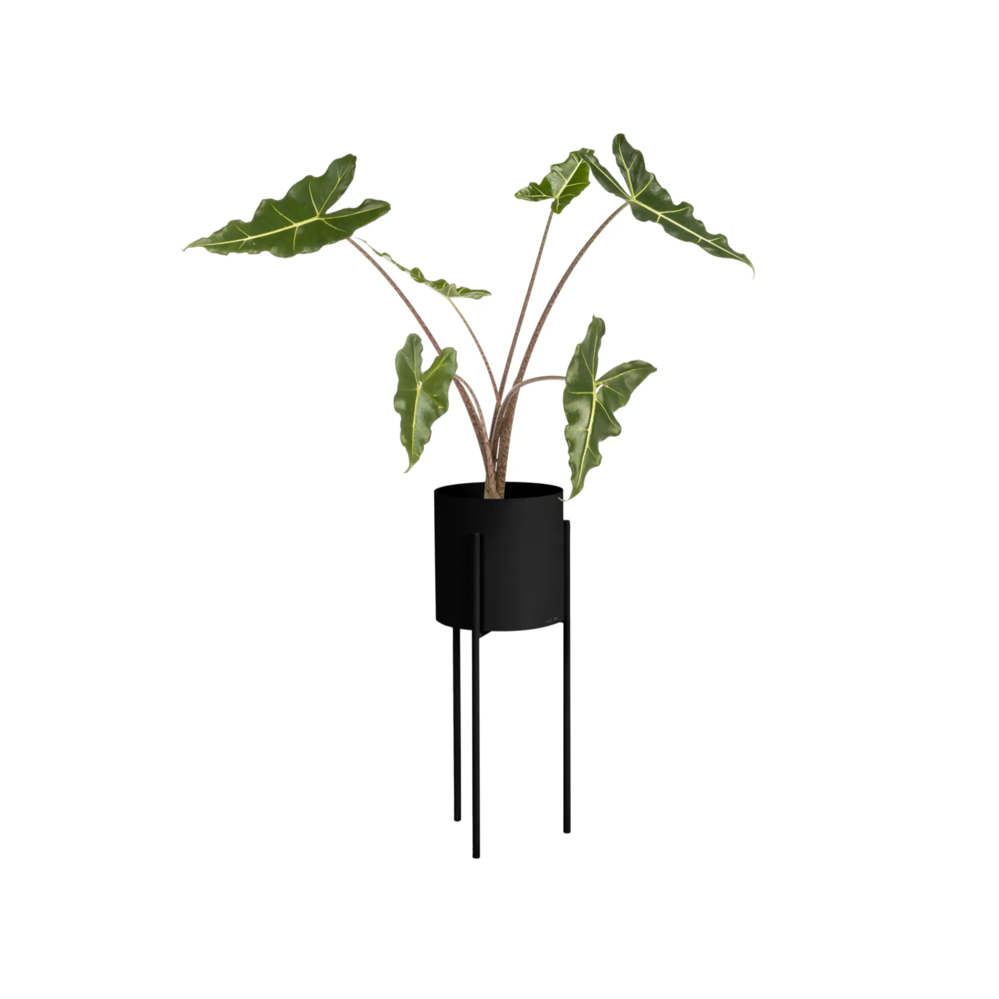 Maki Plant Pot - Tall