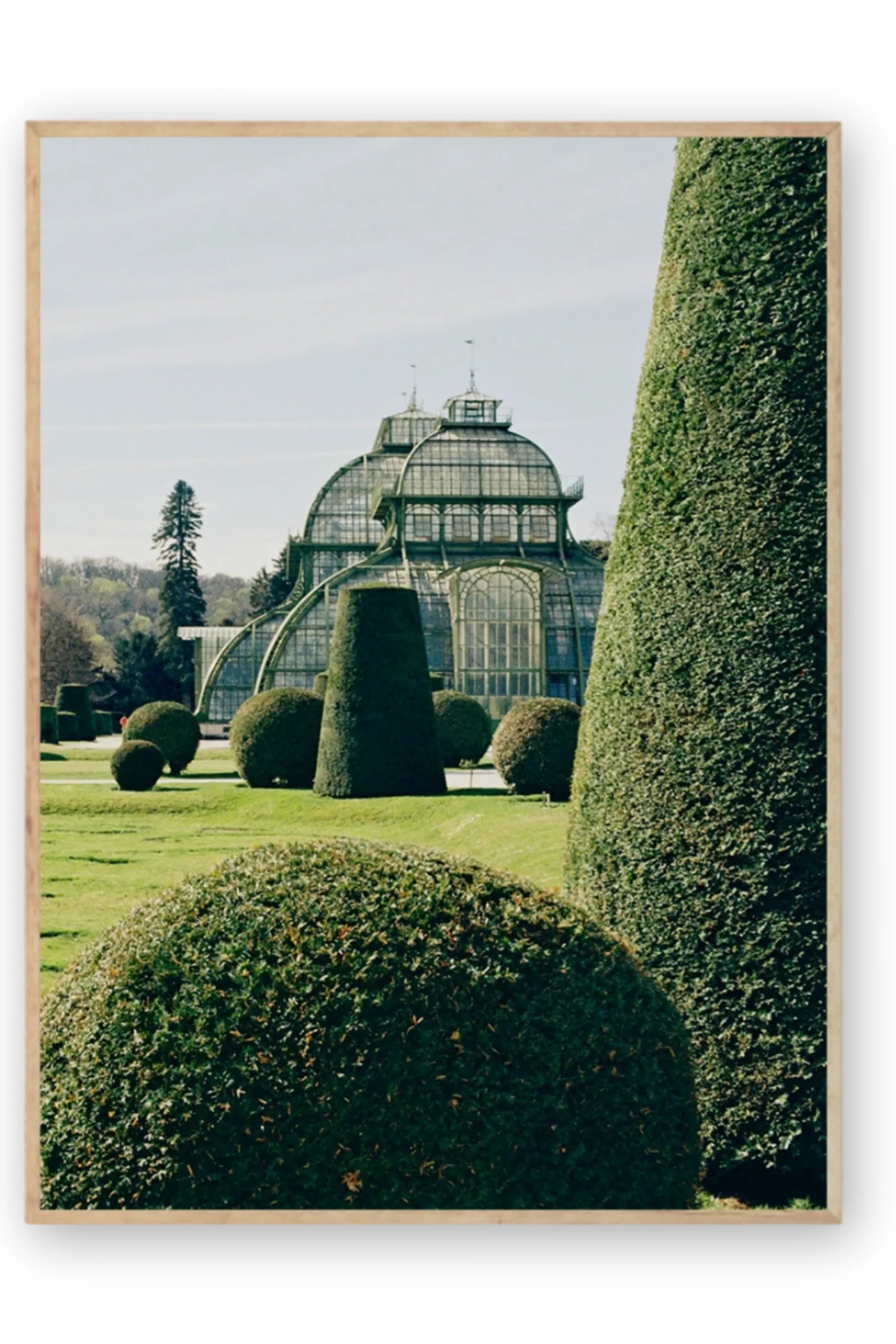 Topiary - Art Print