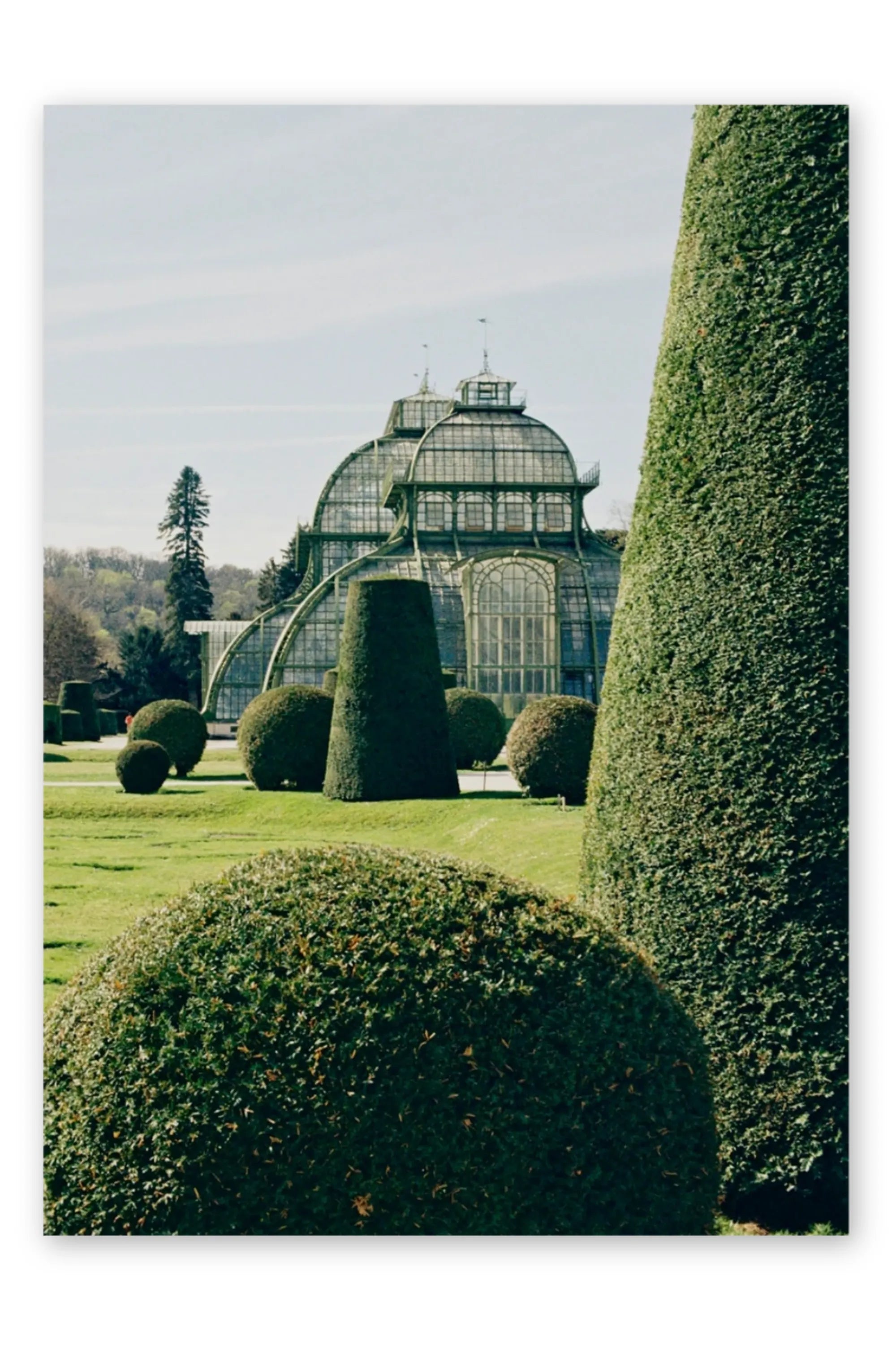 Topiary - Art Print