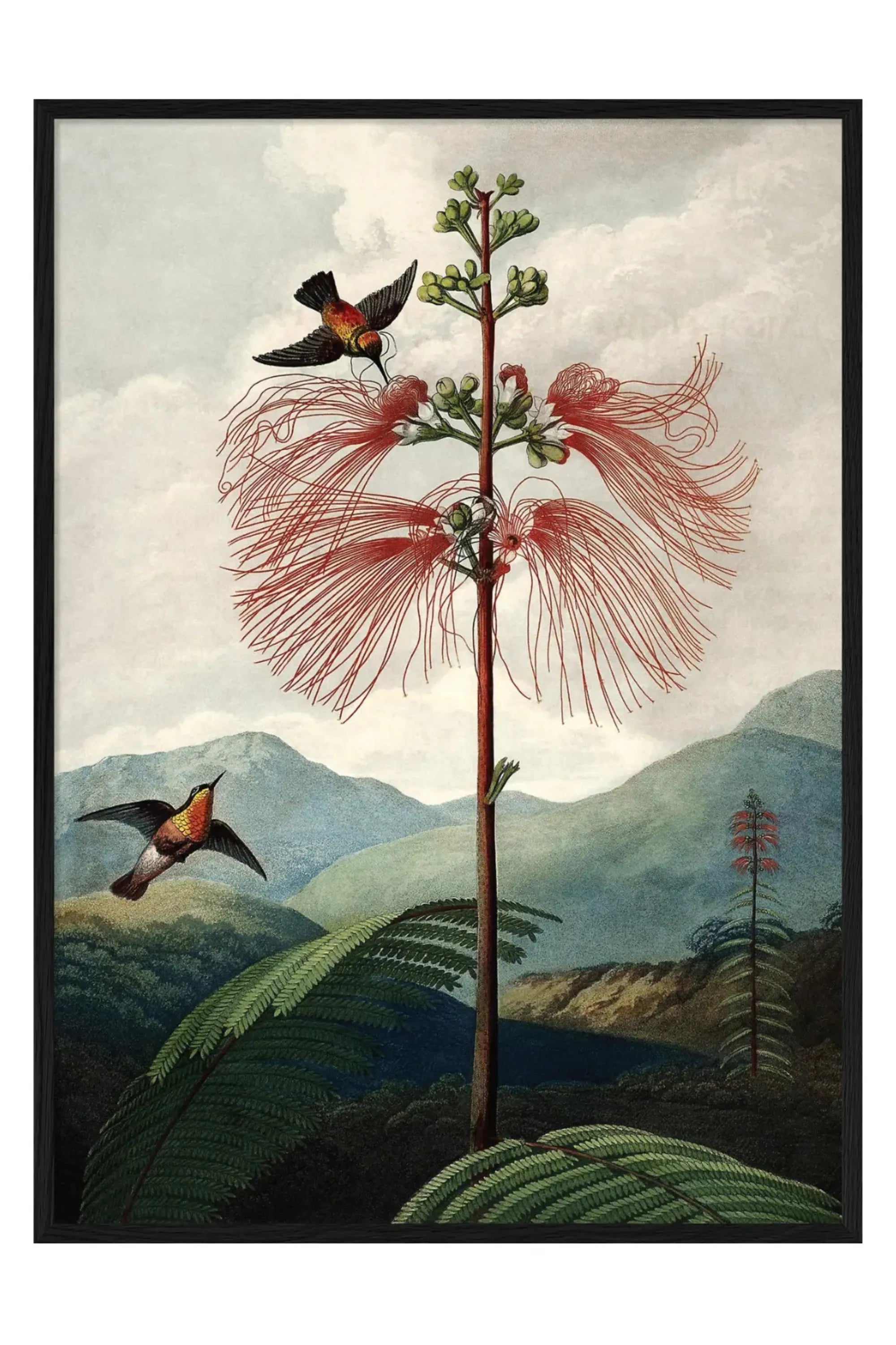 L'arbre à fleurs