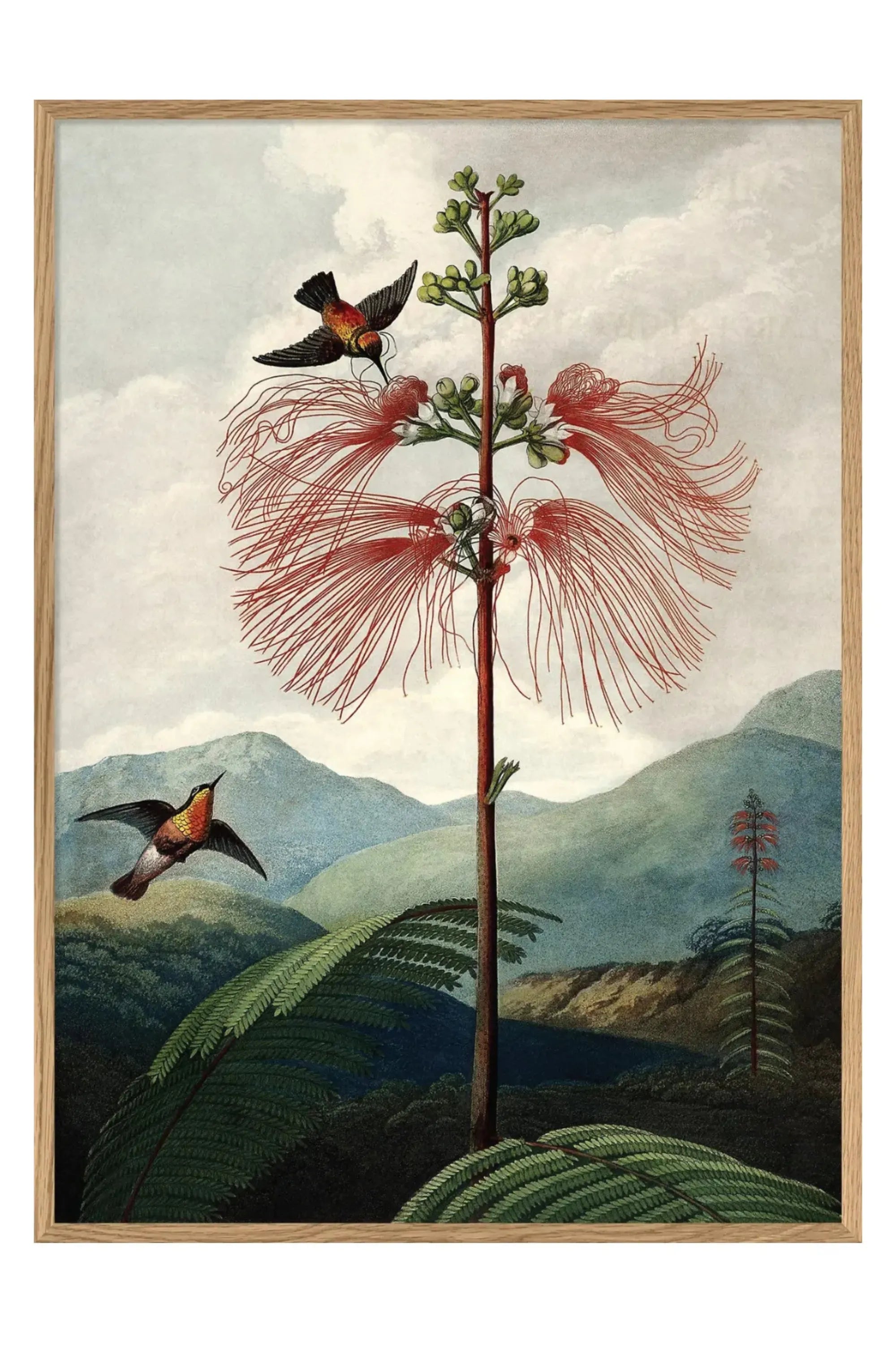 L'arbre à fleurs