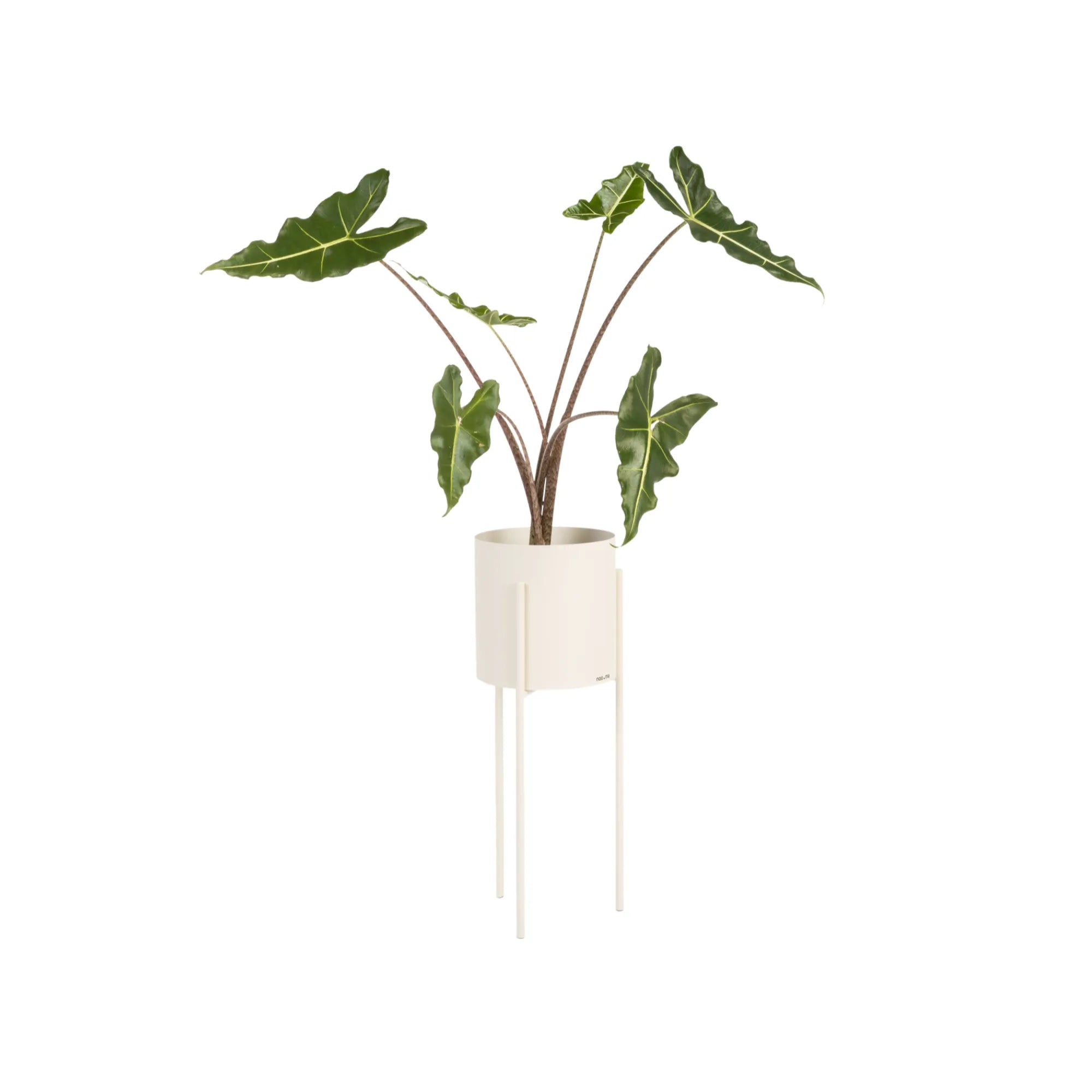 Maki Plant Pot - Tall