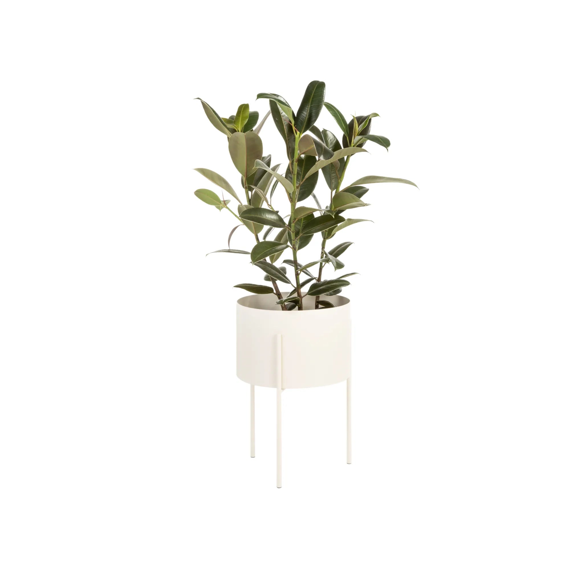 Maki Plant Pot - Wide