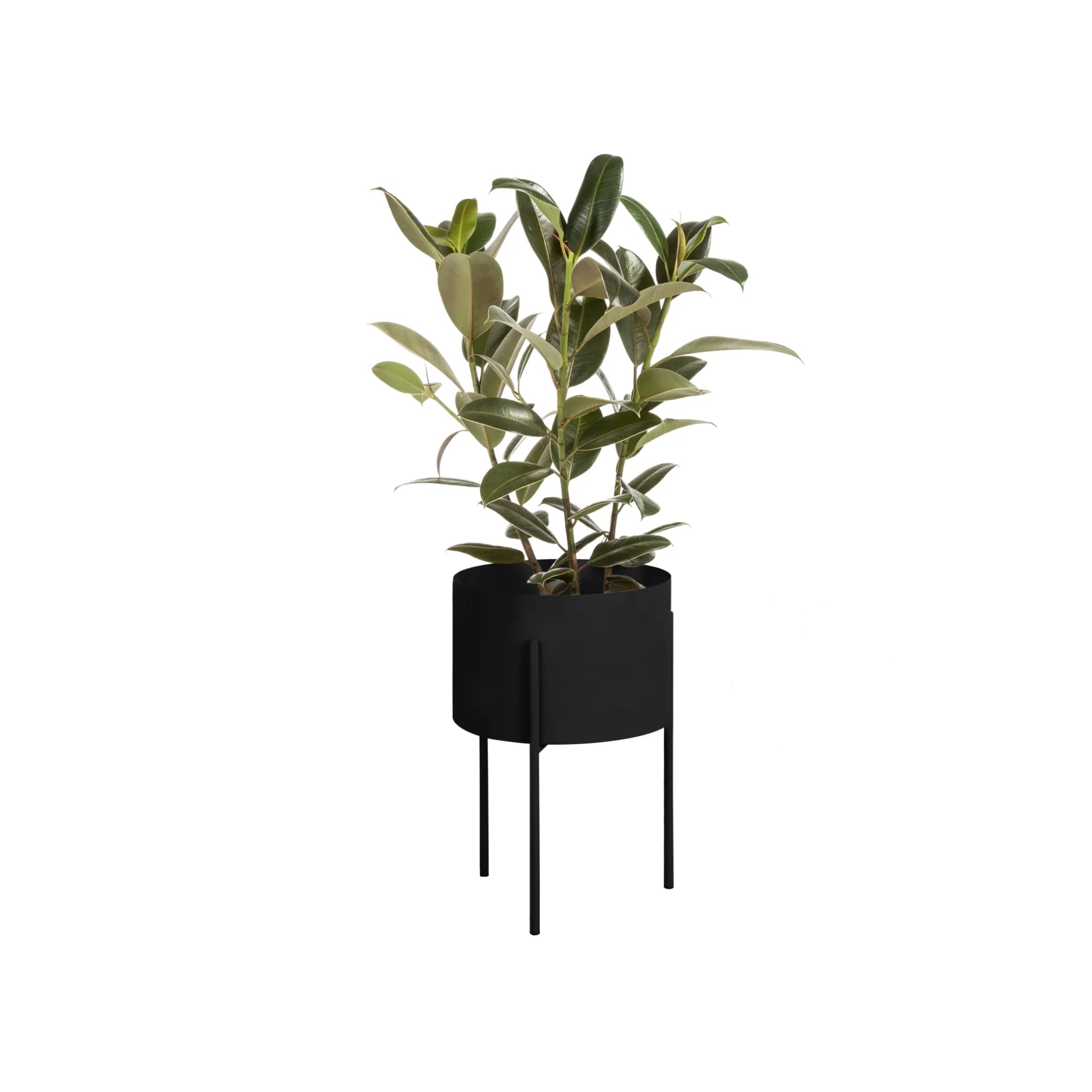 Maki Plant Pot - Wide