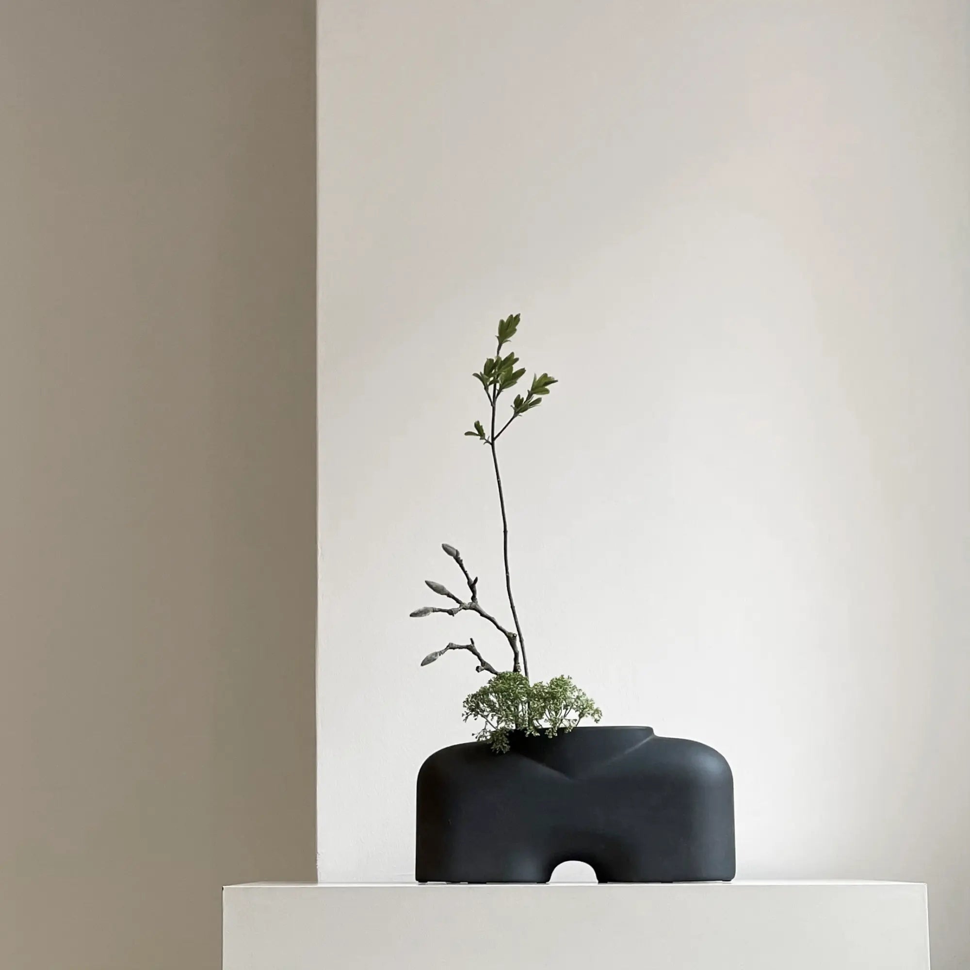 Minimalist vase with a matte black finish and a sturdy build