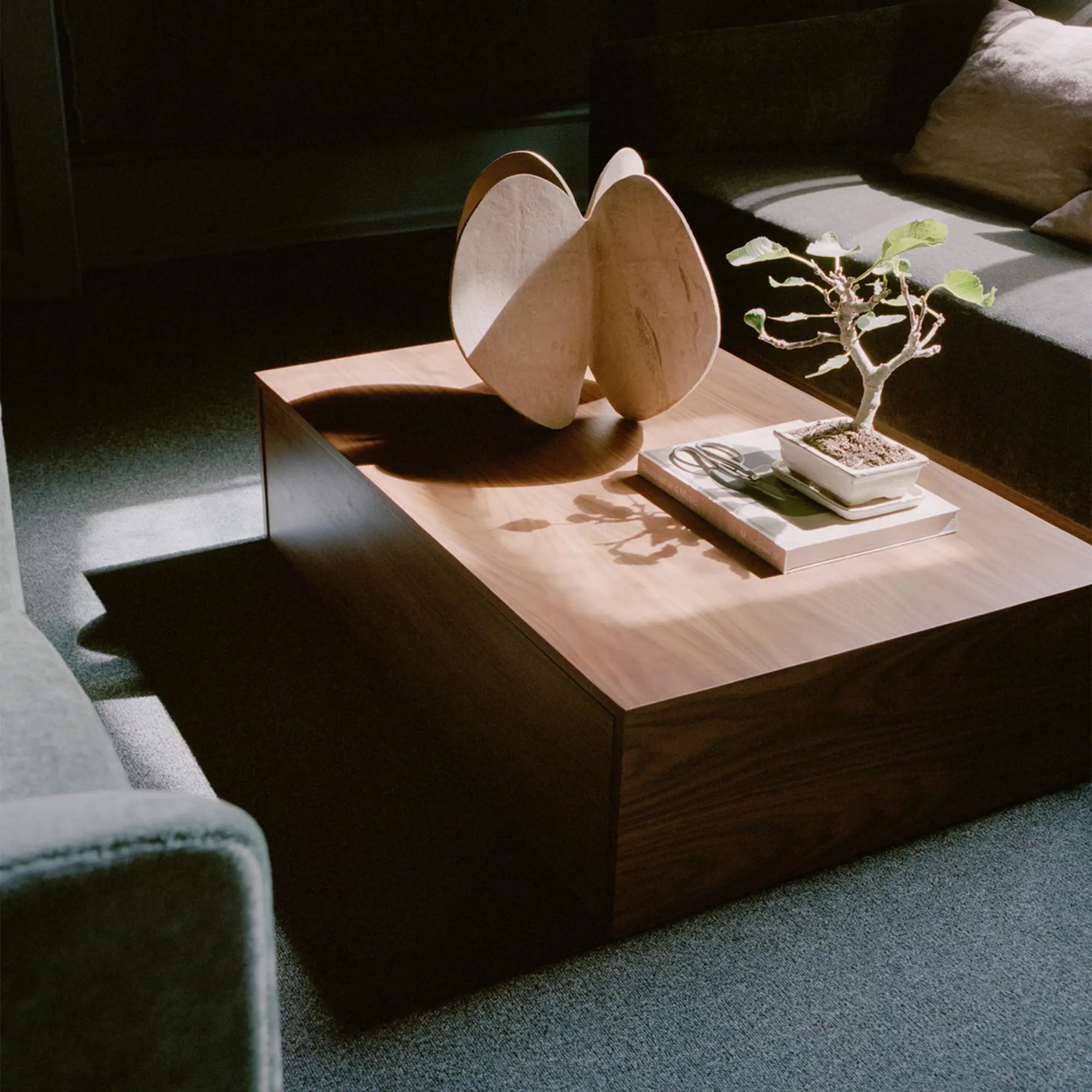 Mass Coffee Table High w. Drawer