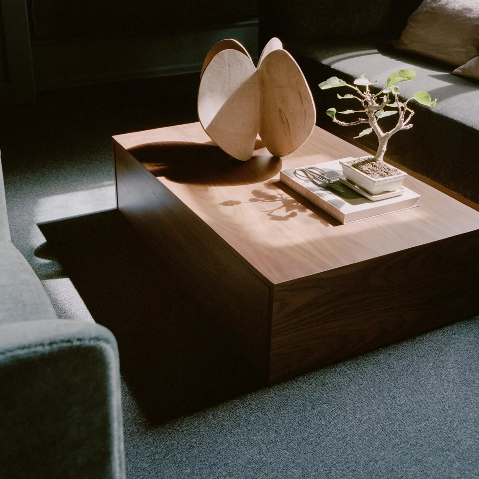 Mass Coffee Table w. Drawer