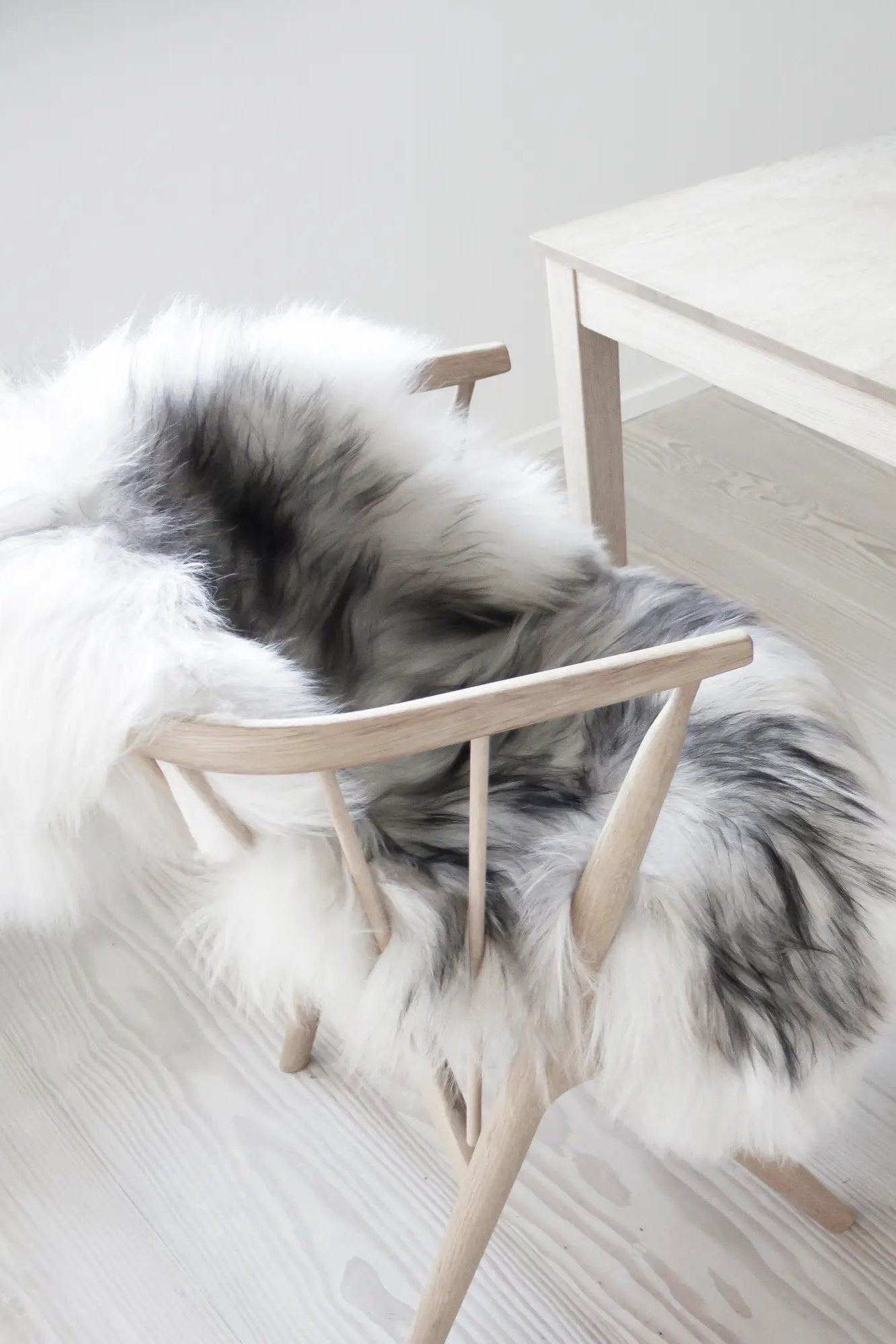 Natural sheepskin rug in luxurious ivory color with soft, dense wool texture