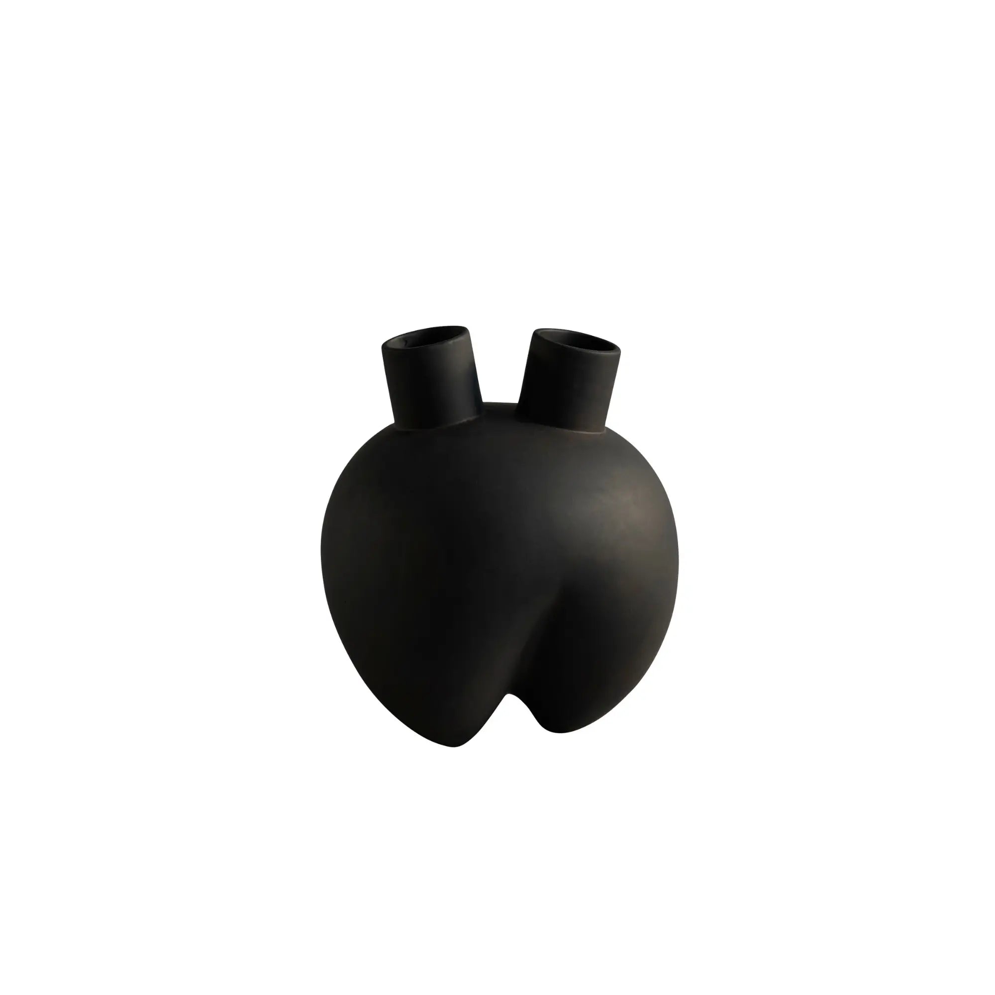 Sumo Vase - Horns with intricate carved details and glossy finish