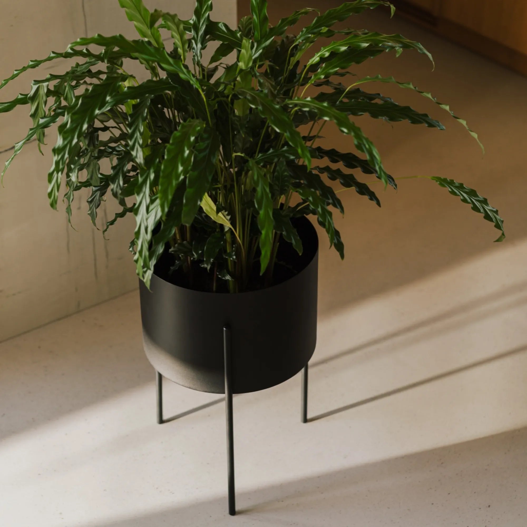 Maki Plant Pot - Wide