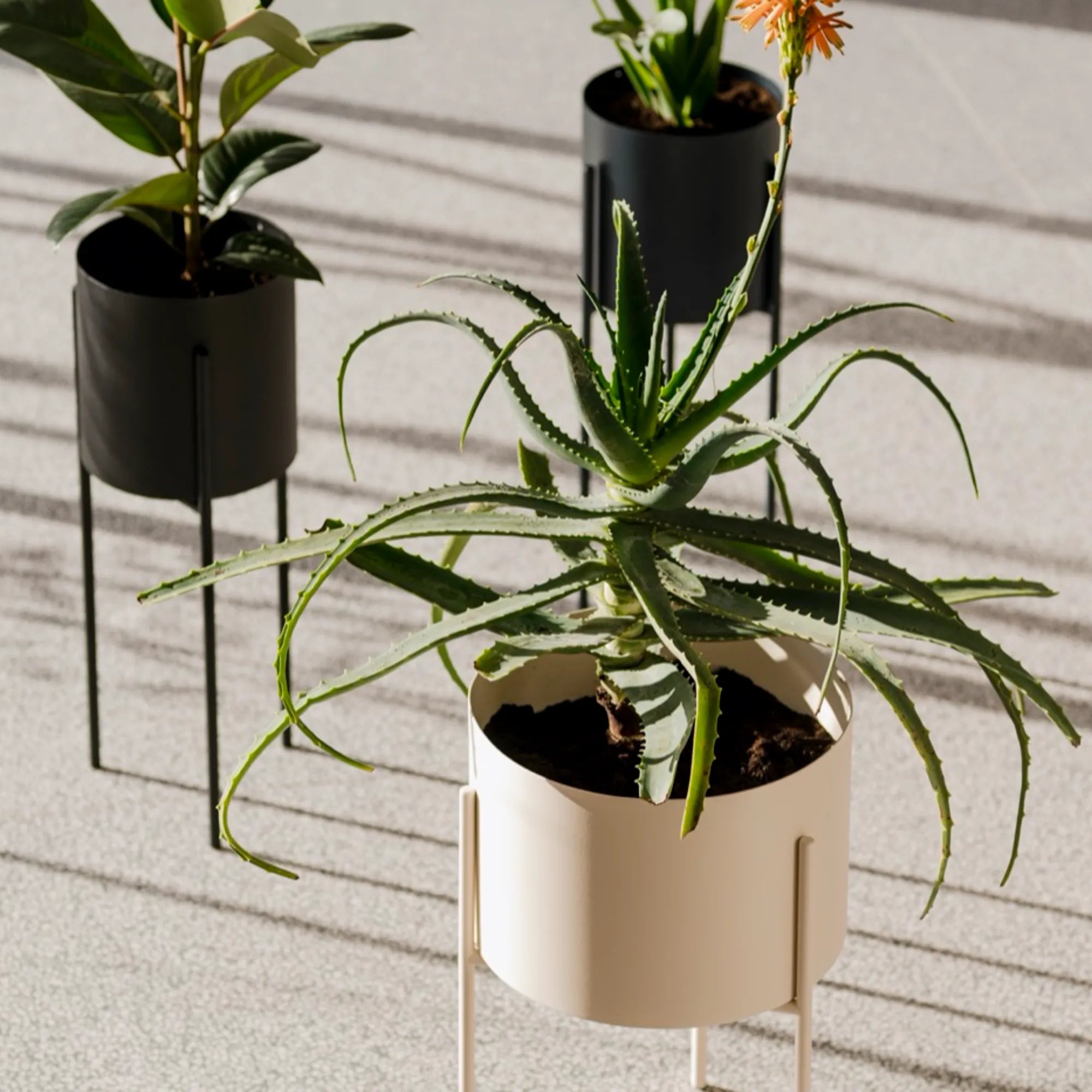 Maki Plant Pot - Wide