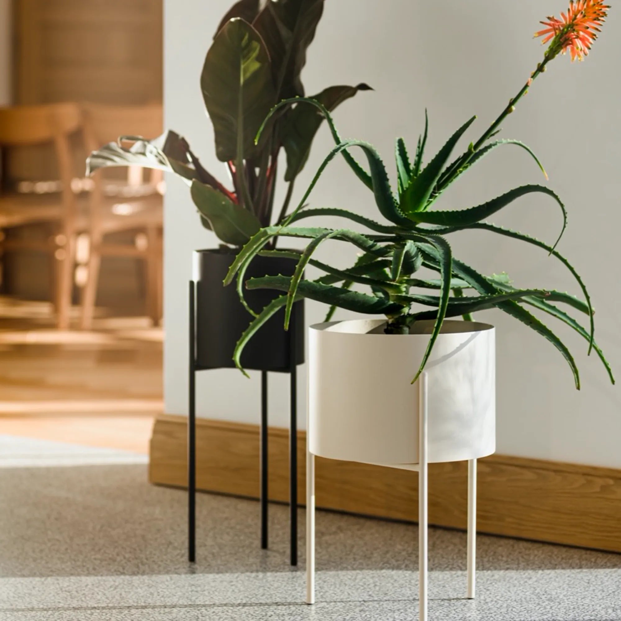 Maki Plant Pot - Wide