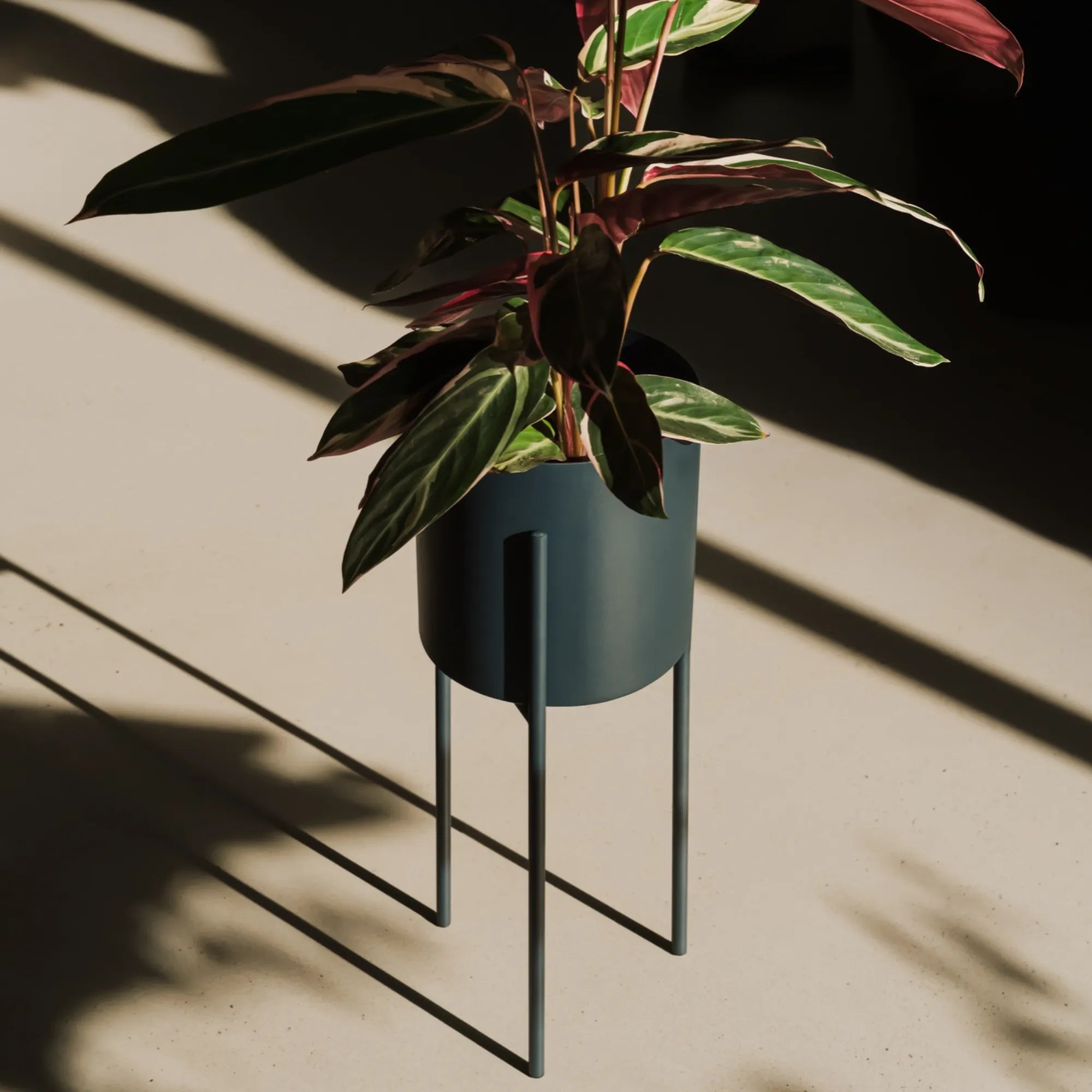 Maki Plant Pot - Tall