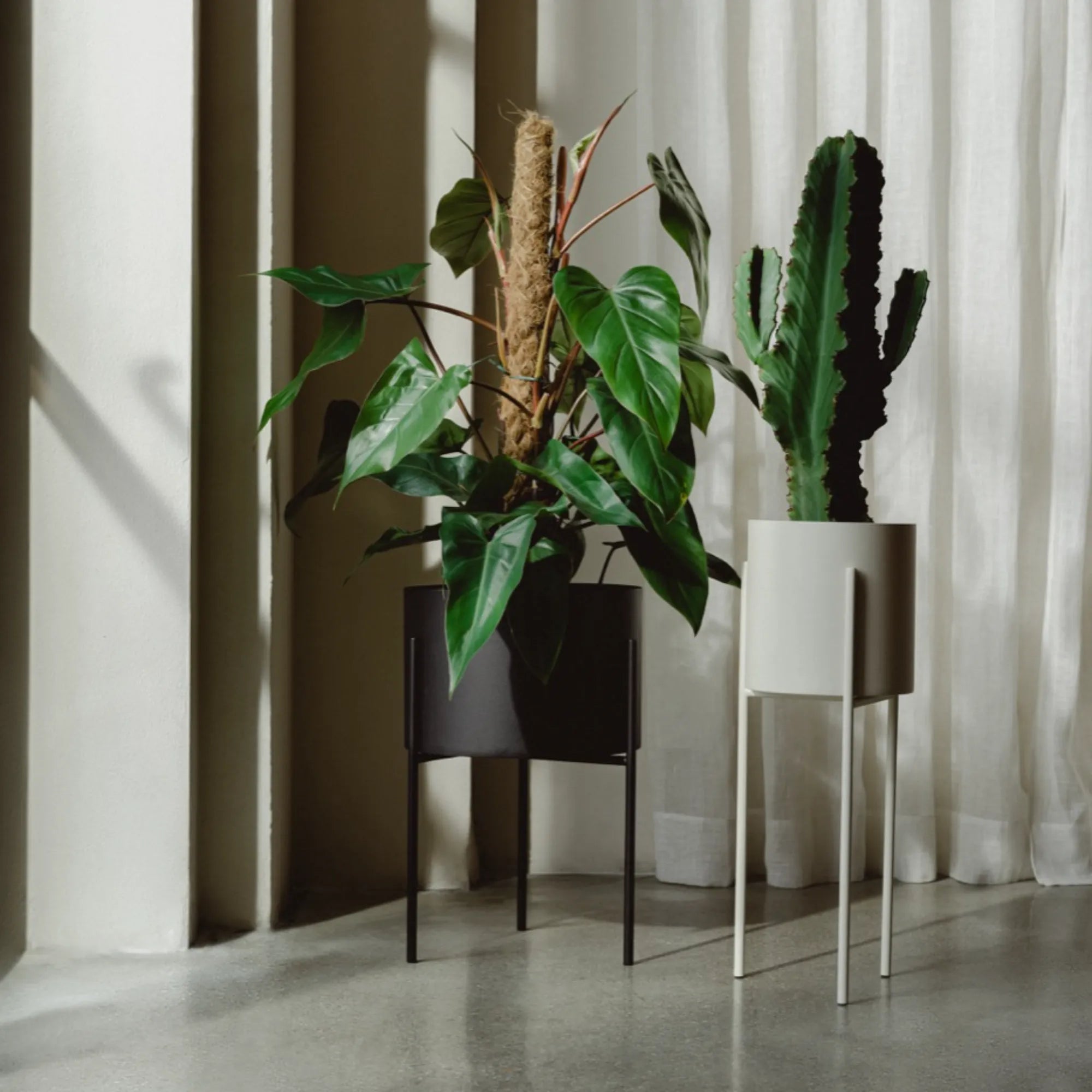 Maki Plant Pot - Tall