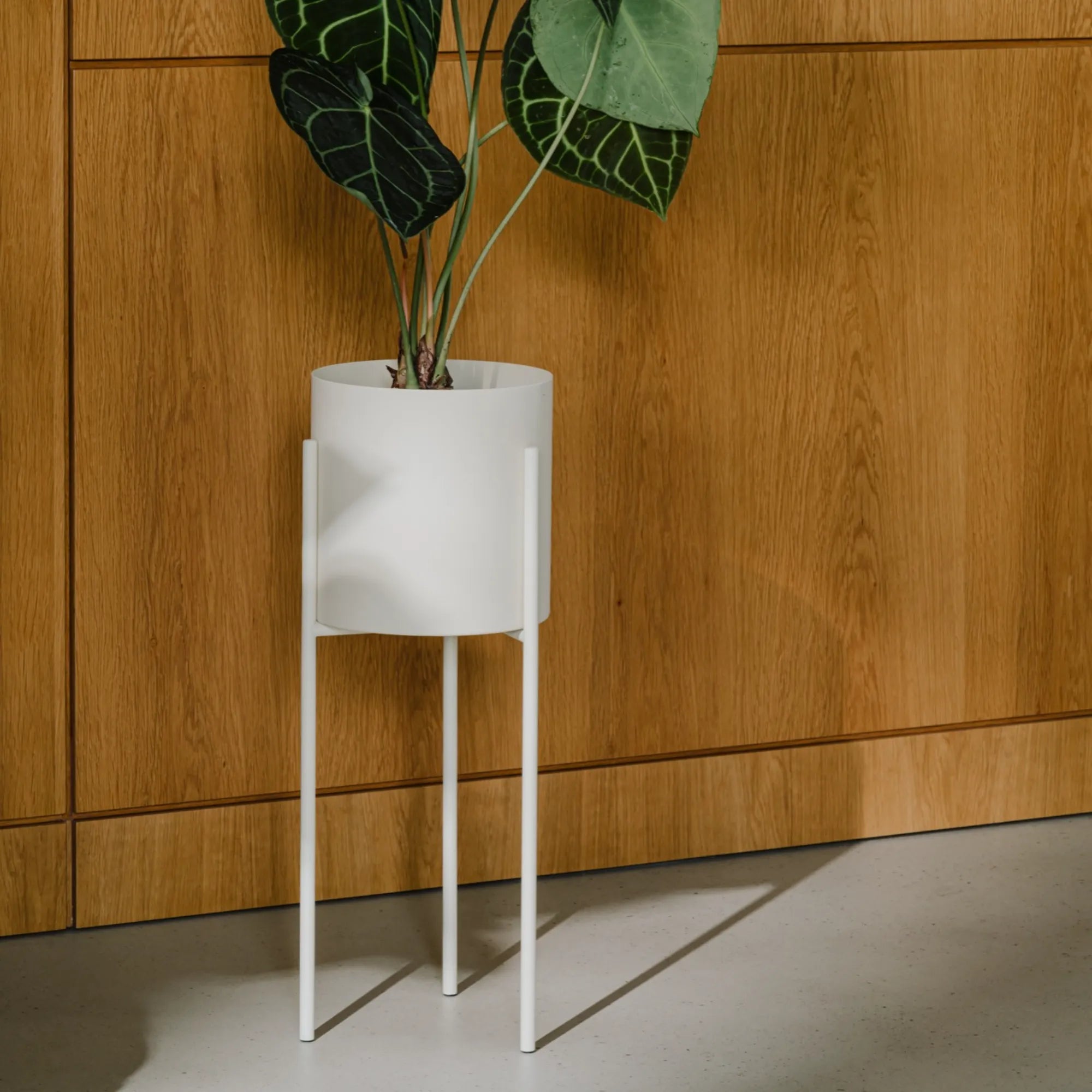 Maki Plant Pot - Tall