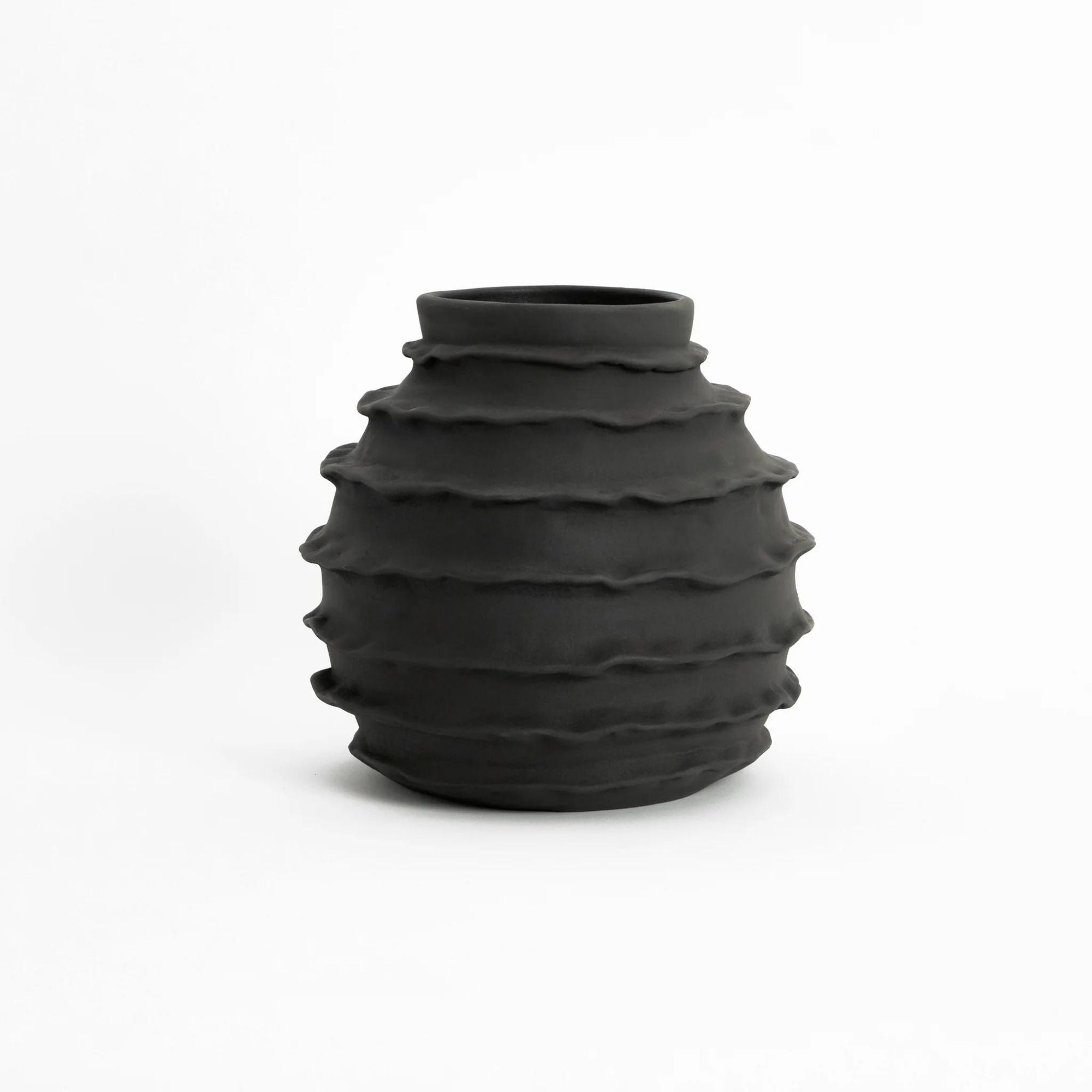 Holiday Vase - Black Vase Project 213A